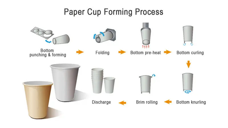 How to Choose the Right Paper Cup Making Machine: An Engineer's Selection Guide